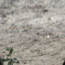 Homography Estimation